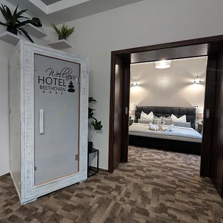 Hotel Wellness Beethoven Chomutov