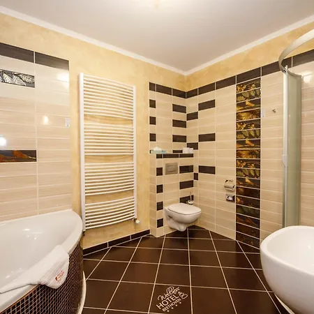 Wellness Beethoven 4* Chomutov