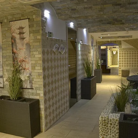 Wellness Beethoven Отель 4*