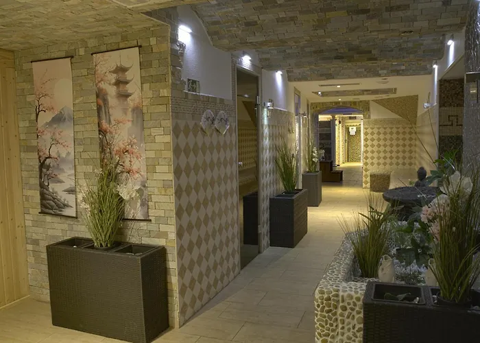 Wellness Beethoven 酒店 4*