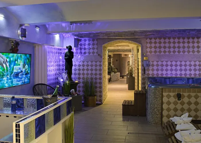 Wellness Beethoven 酒店 4*
